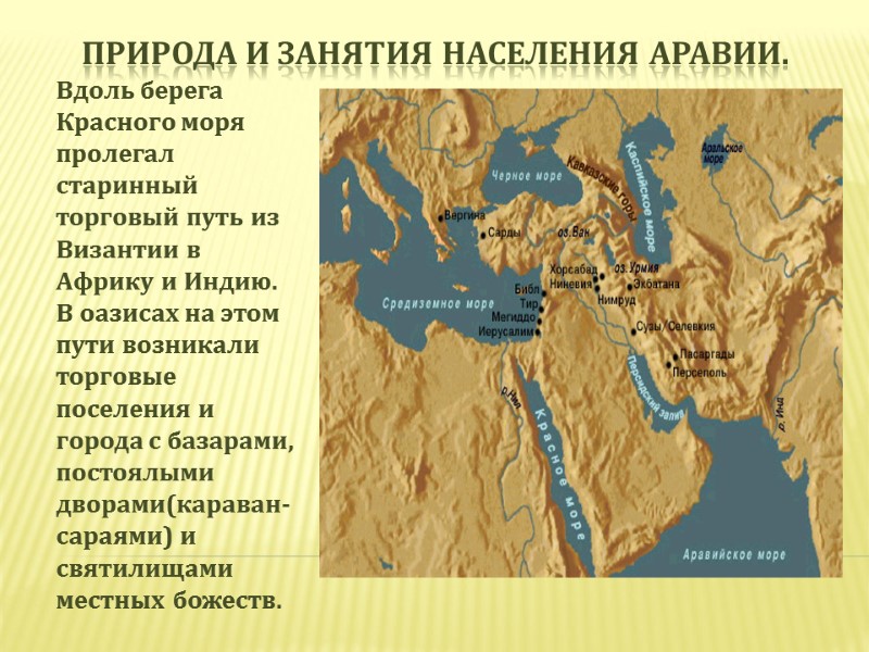 Природа и занятия населения Аравии. Вдоль берега Красного моря пролегал старинный торговый путь из